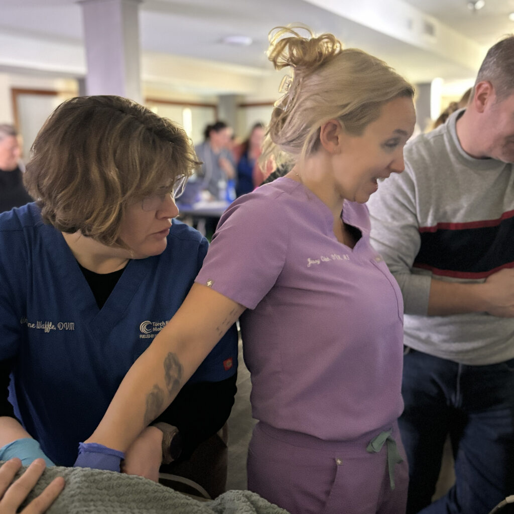 Sdep Training Courses Sonopath